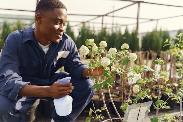 DIY Plant Watering Bottle