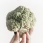 Cauliflower Companion Plants