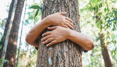 How to get Tree sap off skin