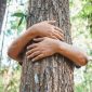 How to get Tree sap off skin