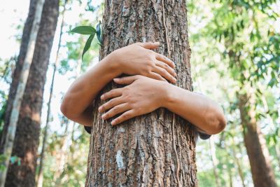 How to get Tree sap off skin