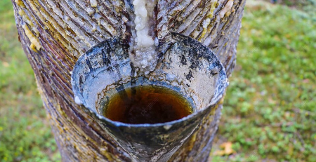 how to get pine sap off clothes