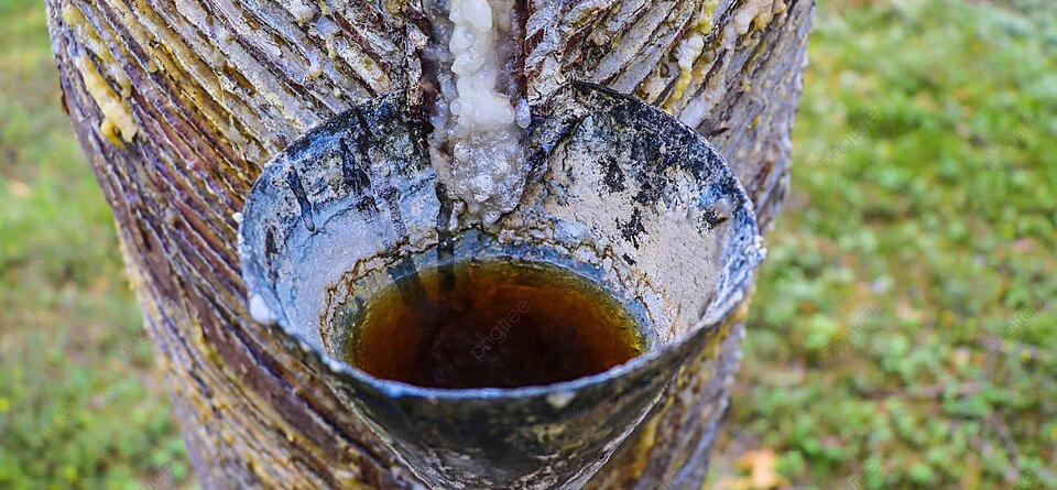 how to get pine sap off clothes