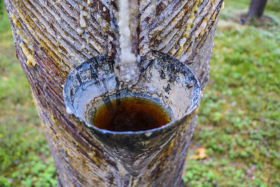 how to get pine sap off clothes