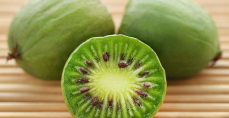 hardy kiwi - thehofgarden