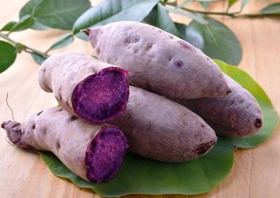 okinawan sweet potato