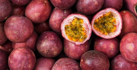 purple passion fruit - TheHofGarden